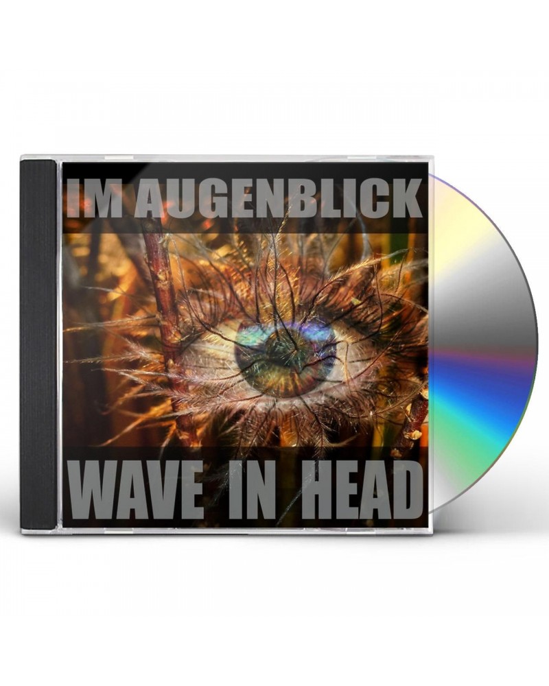 Wave in head IM AUGENBLICK CD $25.10 CD