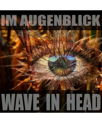 Wave in head IM AUGENBLICK CD $25.10 CD