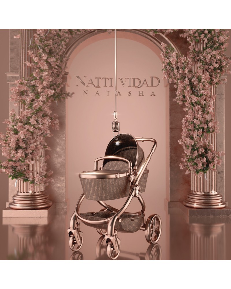 NATTI NATASHA Nattividad CD $9.00 CD